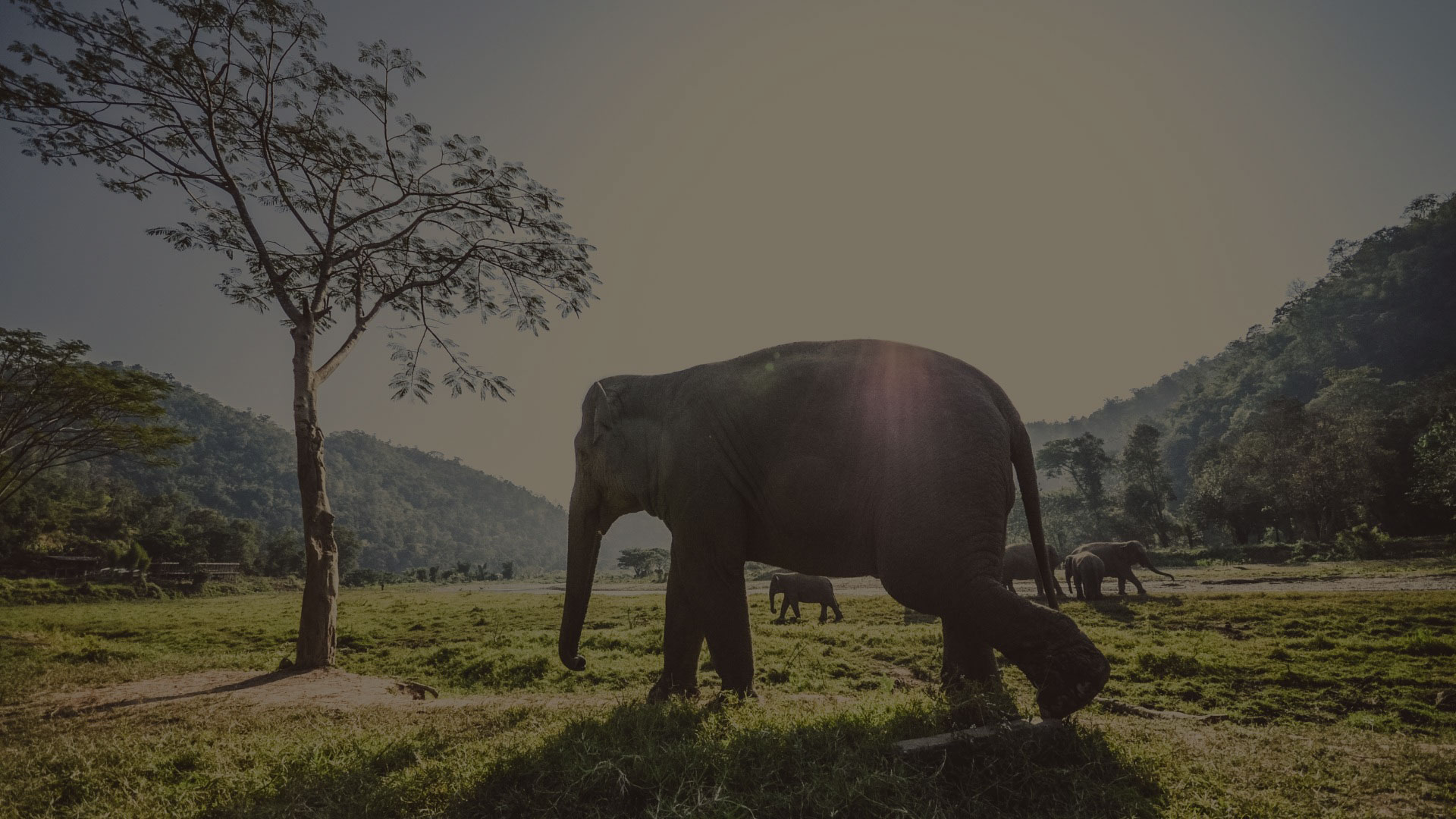 thailand-bg6